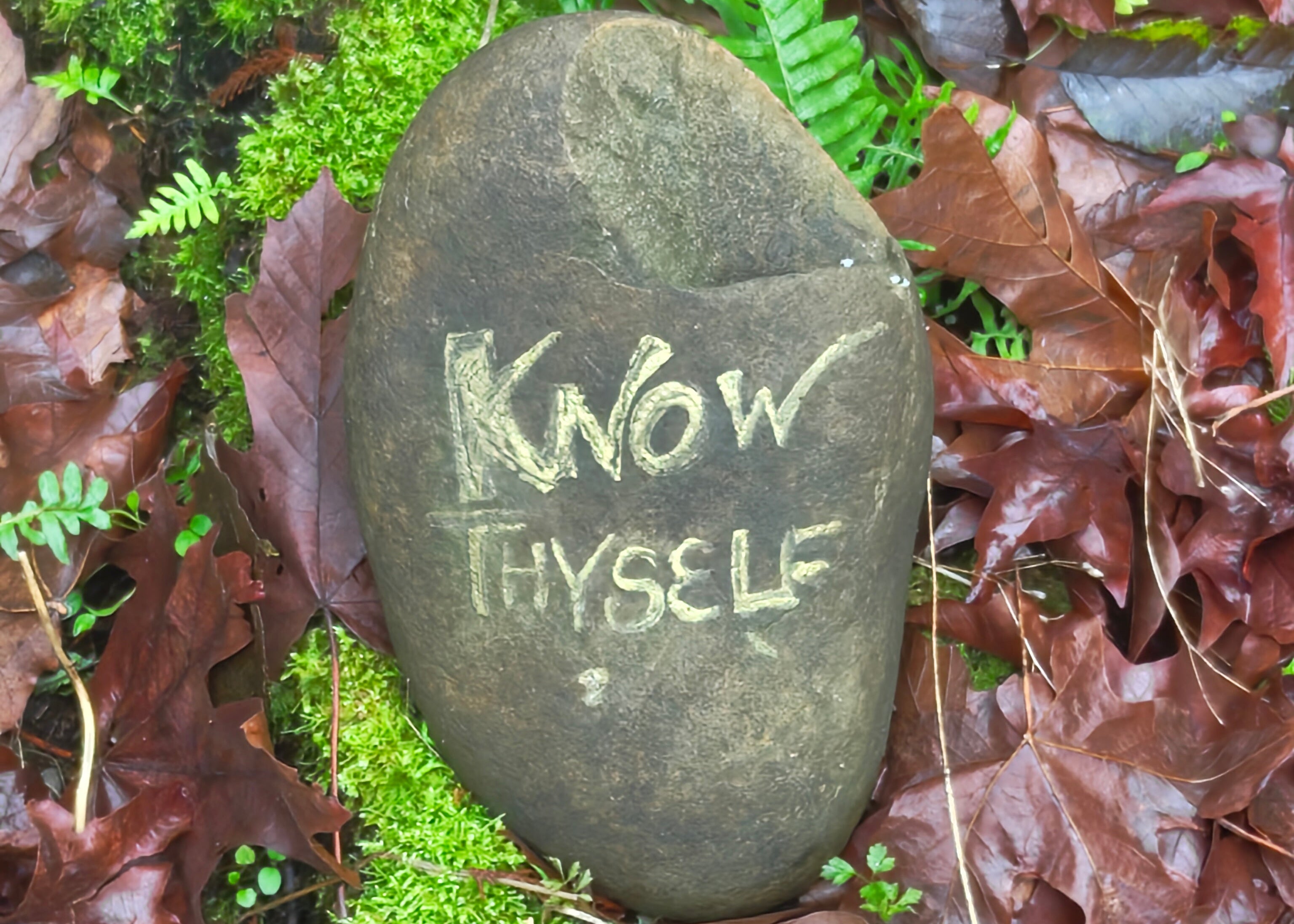 Stone with 'KNOW THYSELF' engraving surrounded by green moss and brown leaves