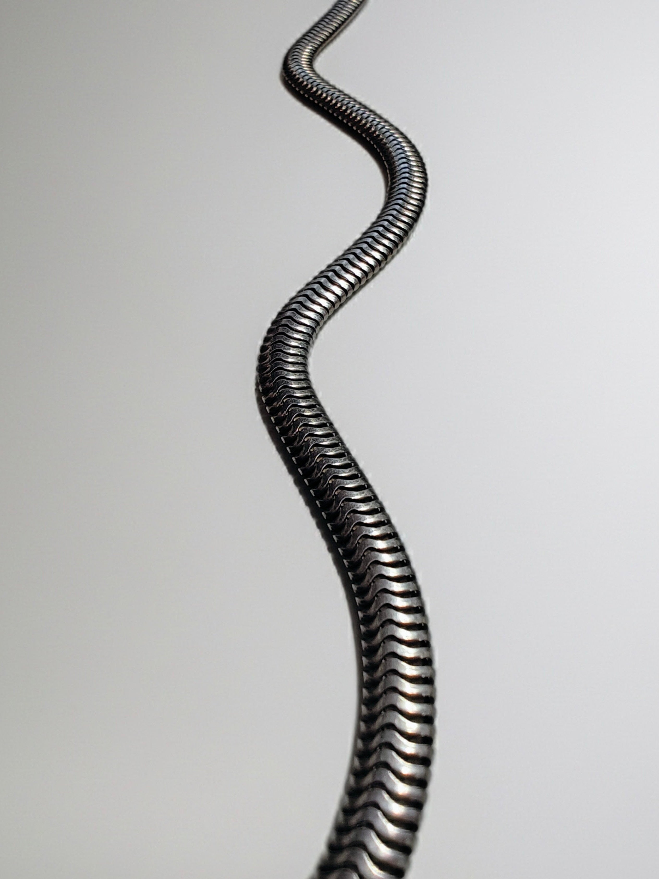 Silver Serpent Chain